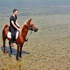 Ce cheval n'appréciait pas trop l'eau.