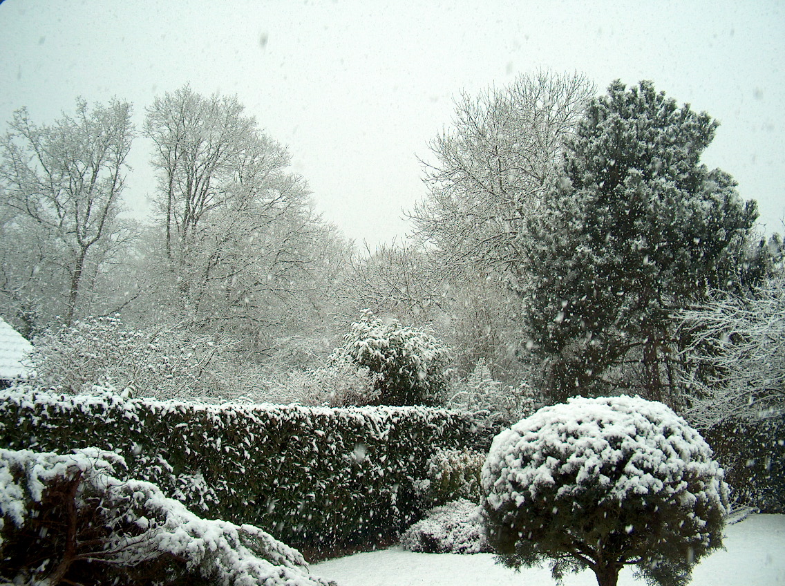 Ce matin 20 février 2010