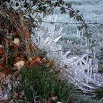 CE MATIN A LA SORTIE DU VILLAGE