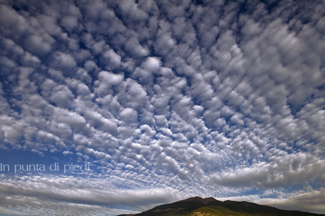 Ce matin à l'Aube, un Ciel absolument magnifique. Nuages moutonneux