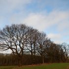 Ce matin à nouveau en Picardie,même heure même endroit