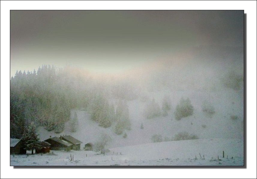 Ce matin au Col du Feu ( près de Thonon les bains )