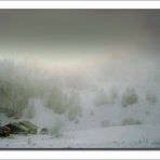 Ce matin au Col du Feu ( près de Thonon les bains )