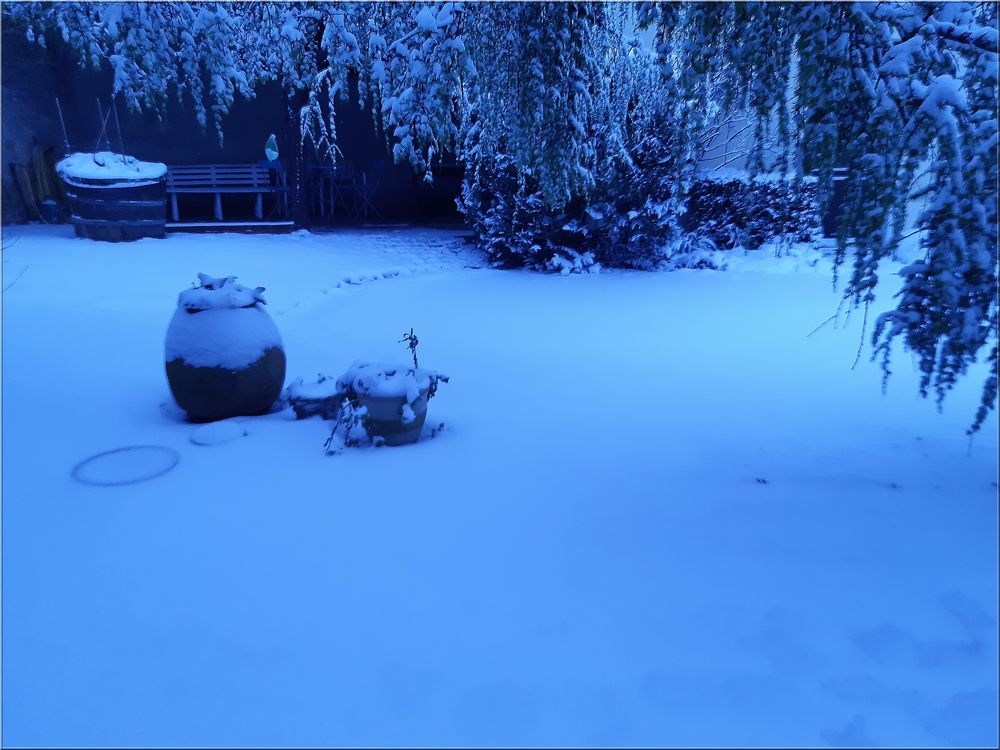 ..Ce matin, au lever du jour..