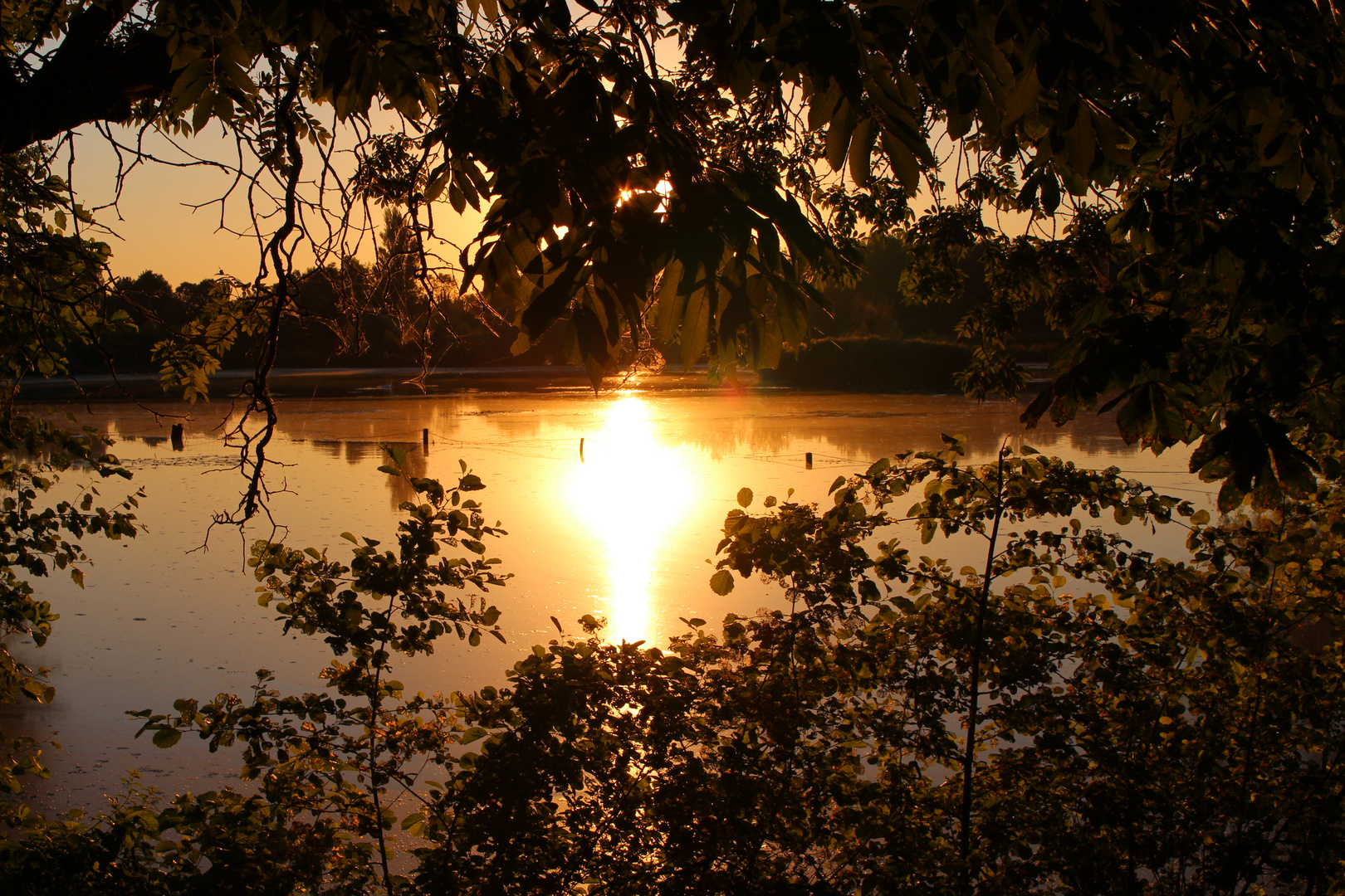 Ce matin, au révei de la nature