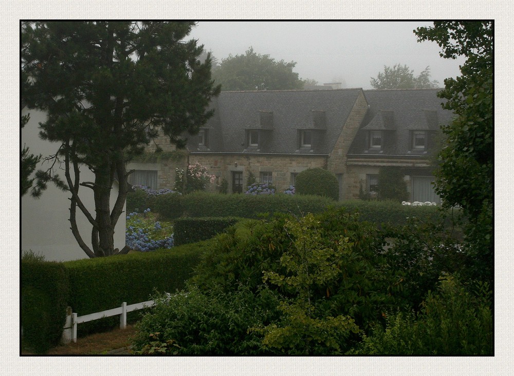 " Ce matin beau temps pour les hortensias "