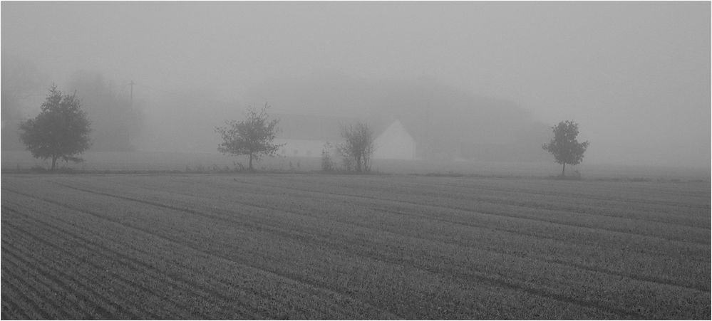 ce matin de ma fenêtre