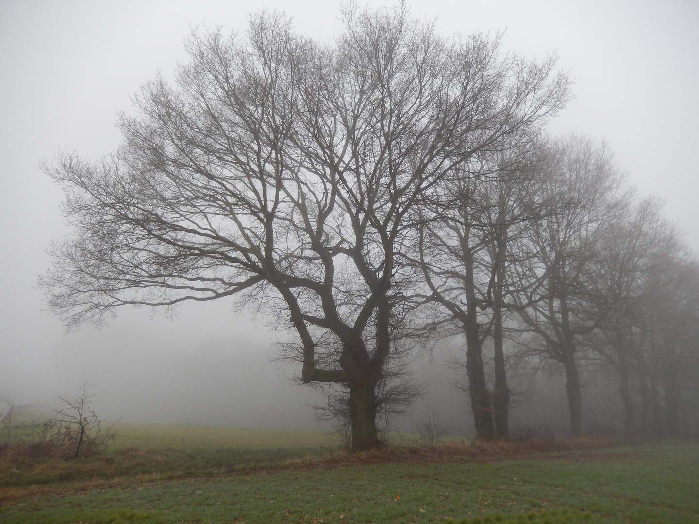 ce matin en Picardie