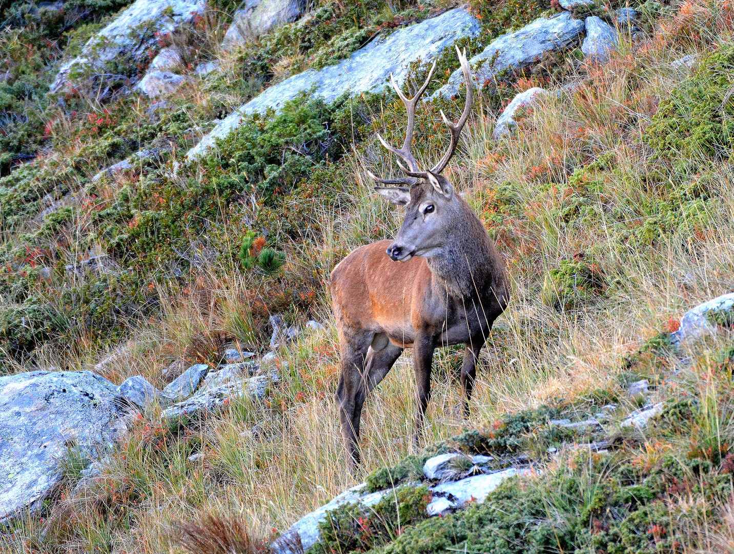 Ce matin en Vanoise ....