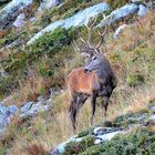 Ce matin en Vanoise ....