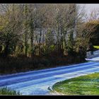 " Ce matin fine plaisanterie de la nature il paraît qu'il a neigé "