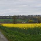 ce matin sous un ciel gris