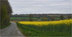 ce matin sous un ciel gris