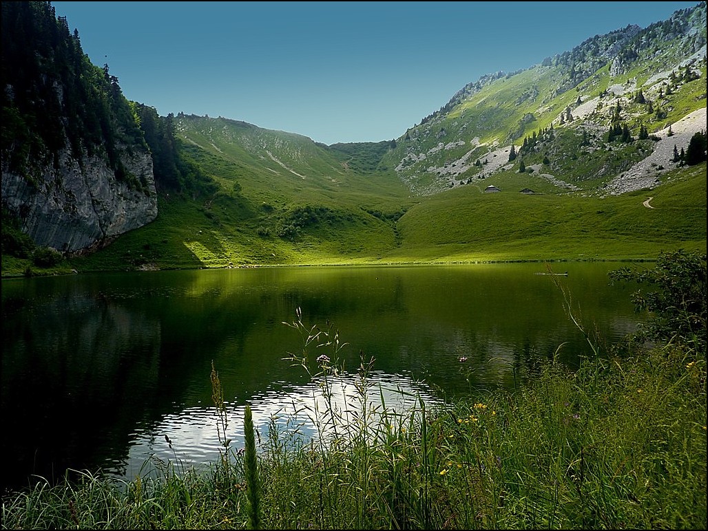 ce merveilleux lac d'Arvoin (74)