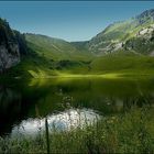 ce merveilleux lac d'Arvoin (74)