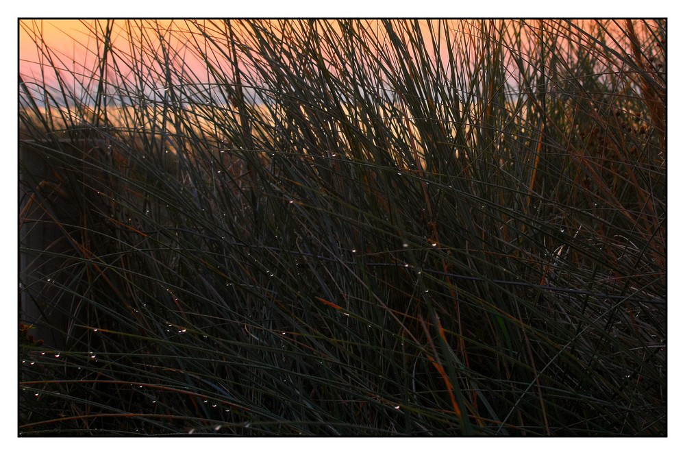 " Ce n'est plus un temps à coucher sur la dune, je n'ai plus vingt ans moi ma brave Dame"