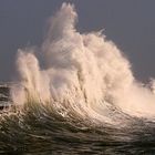 Ce que la mer nous offre