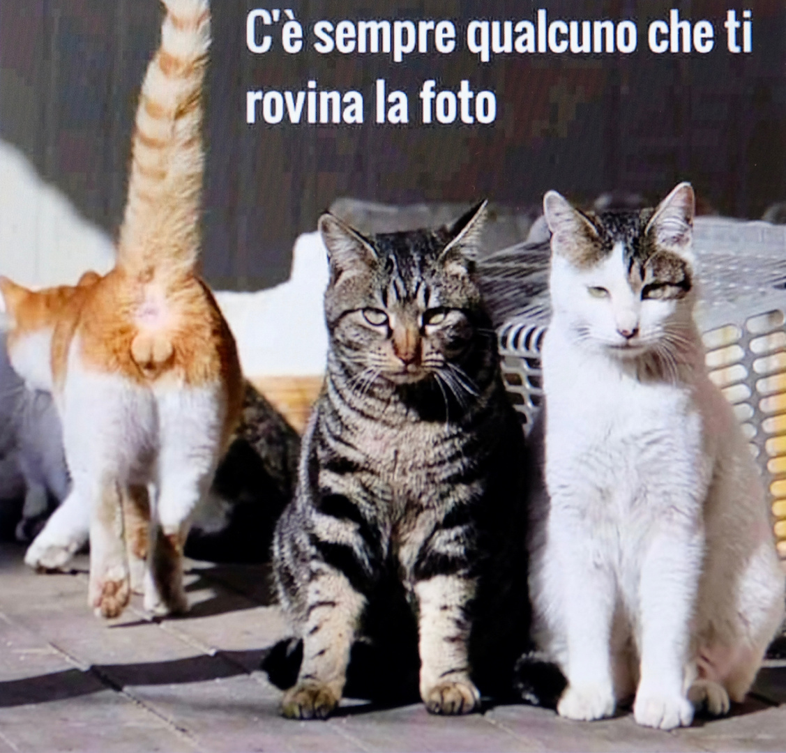 C'e sempre qualcuno che ti rovina la foto!