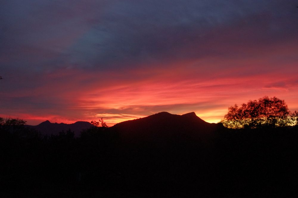 ce soir ...... dans les Cévennes !