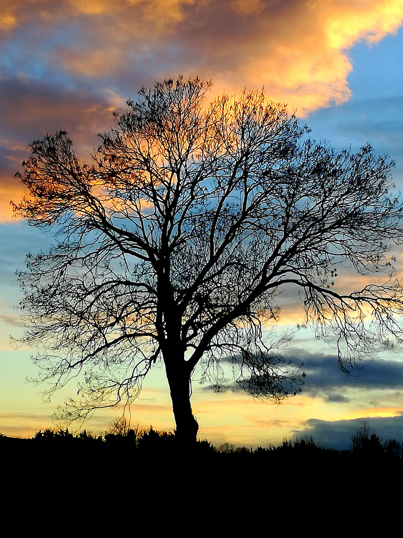 Ce soir, en Cévennes ...