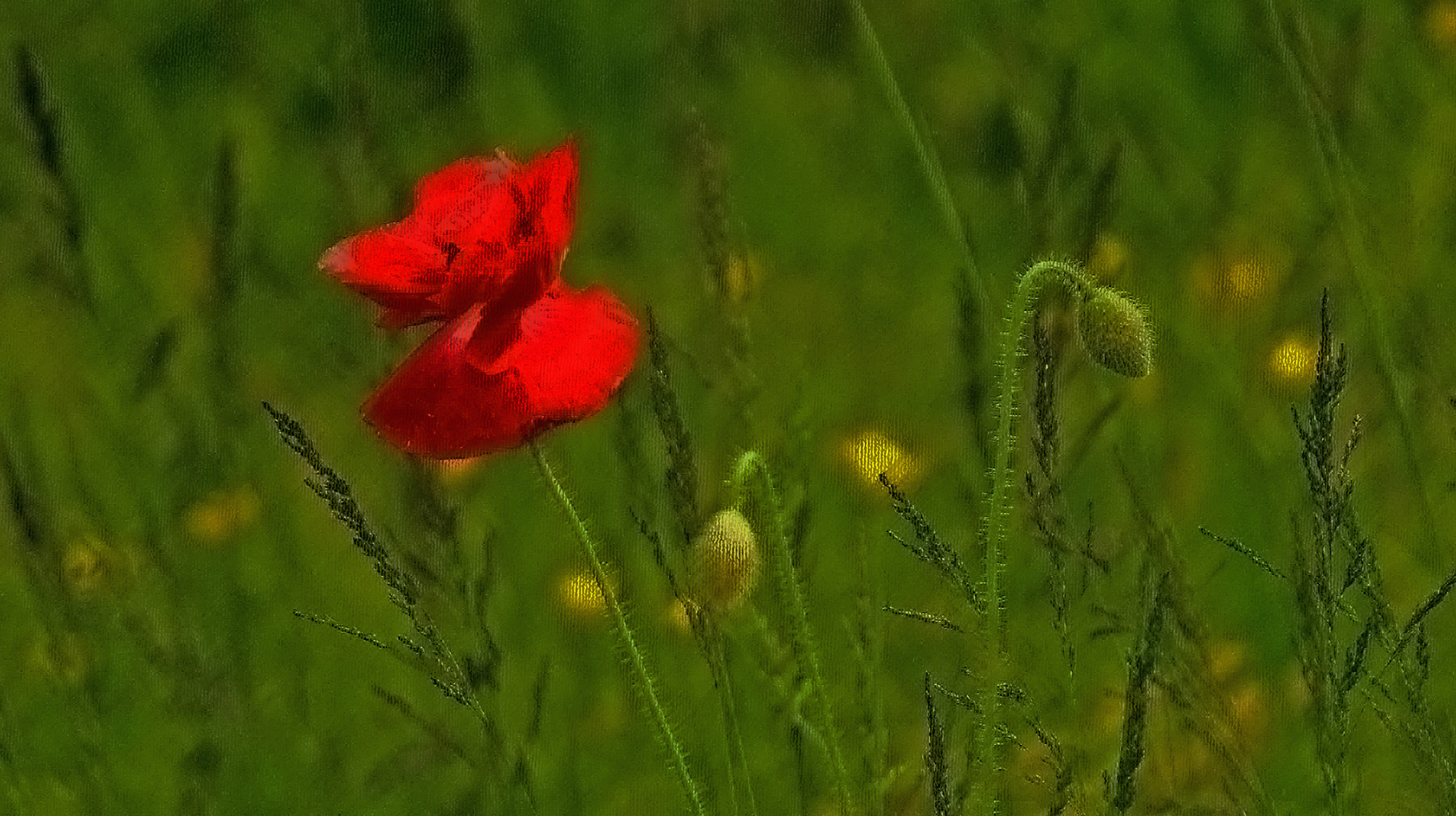 Ce soir , je serais la plus belle pour aller...danser -:))