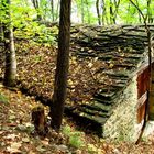 .. C'è una casa nel bosco..