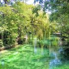 Ce vert qui nous manque tant