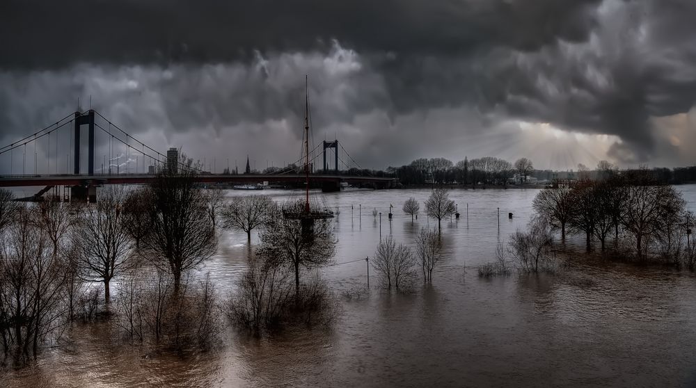 Hochwasser am Rhein von Ellen-OW