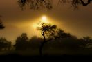 African lights- by roby burchi