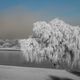 An der Elbe