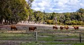 Working for the Farmer by hgphpotography