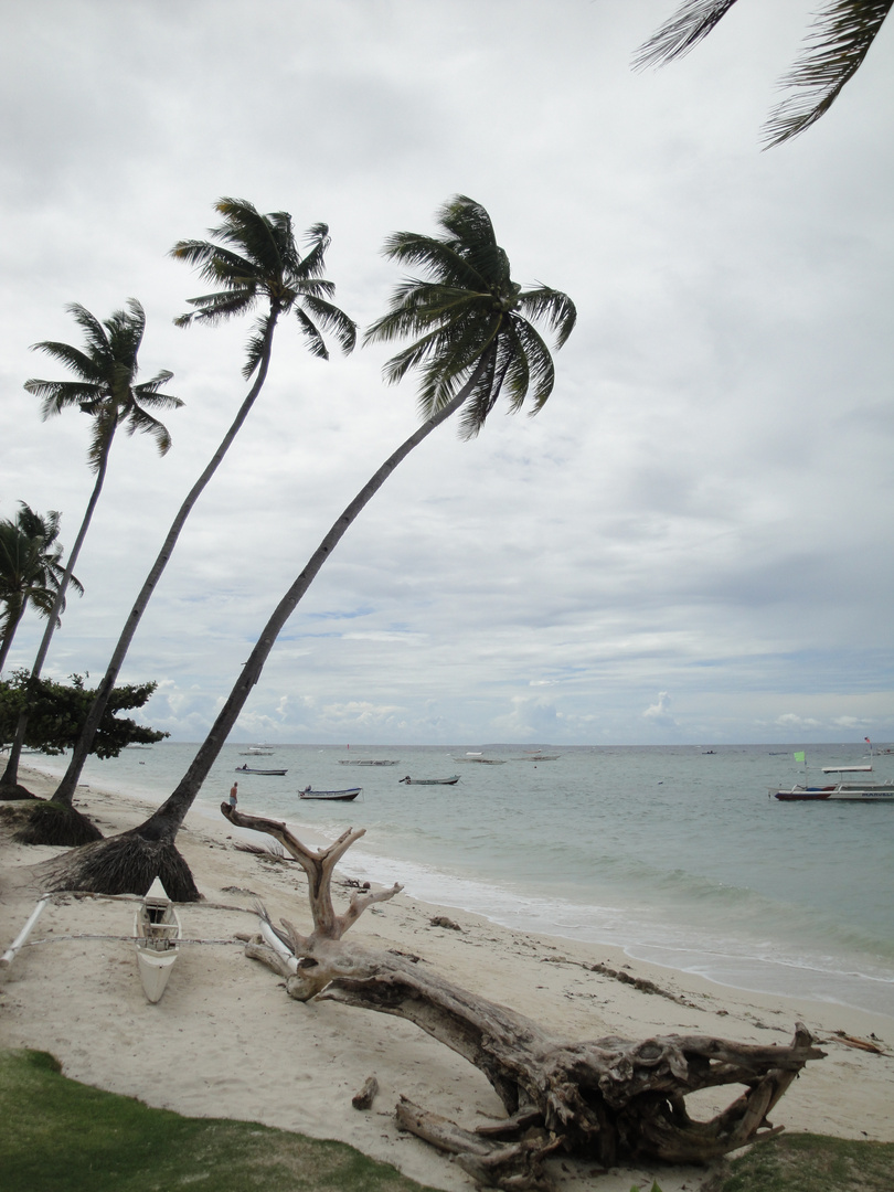 Cebu