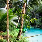 Cebu, Philippinen, Kawasan Falls