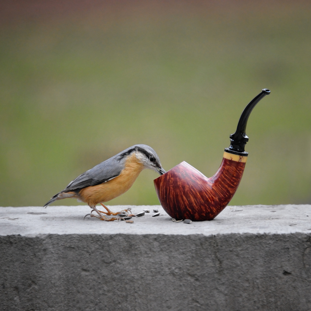 Ceci n'est pas une pipe ...