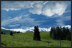 Cécile im Berner Oberland