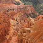 Cedar Breaks National Monument Close Up