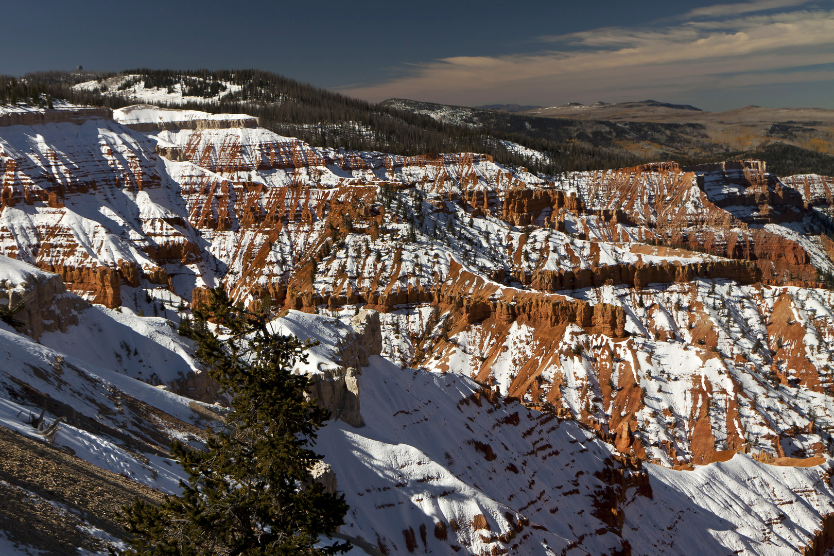 Cedar Breaks N.M.