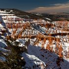 Cedar Breaks N.M.