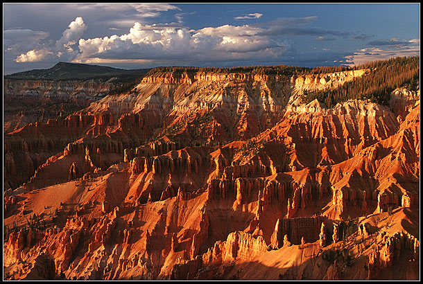 Cedar Breaks NM