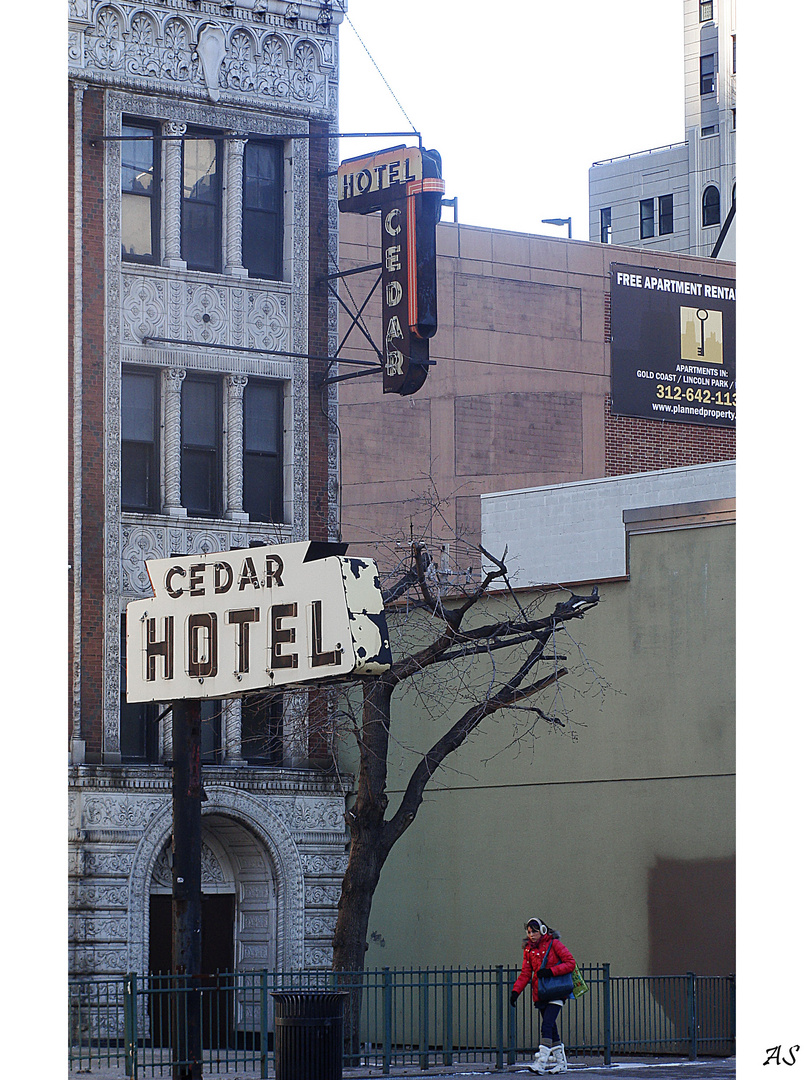 Cedar-Hotel