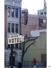 Cedar-Hotel