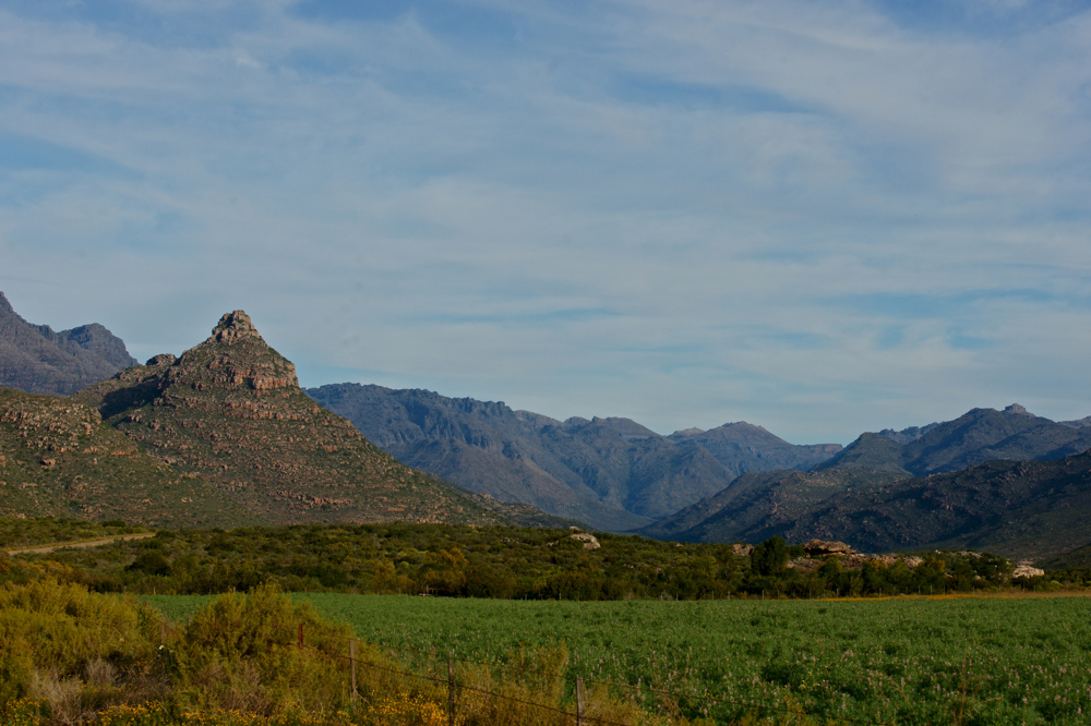 Cederberg Mountains