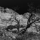 Cederberg Mountains Wilderness Area