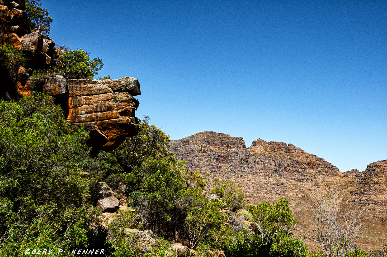 Cederberg Wilderness Area #3