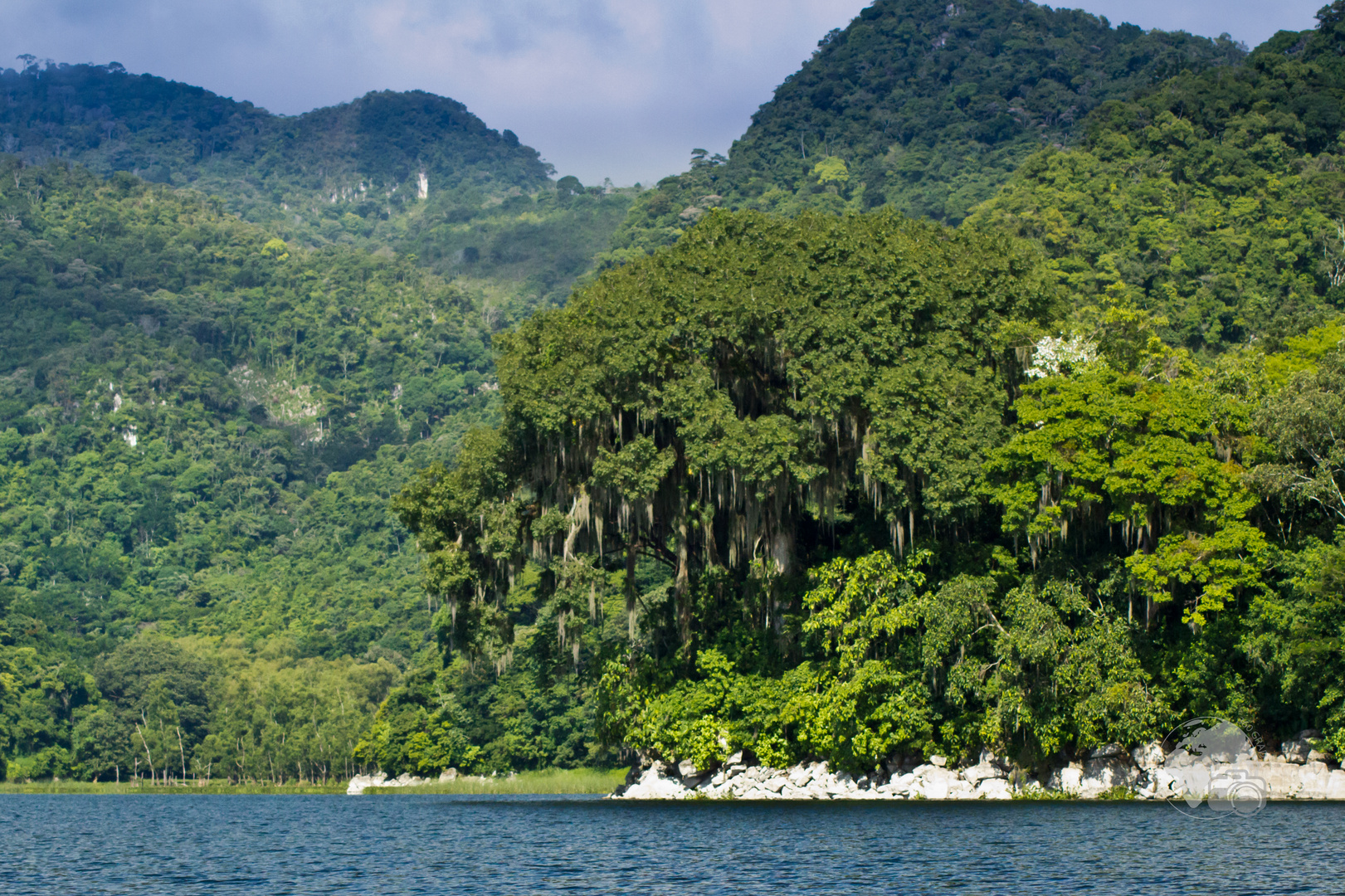 Ceiba am Yojoa See