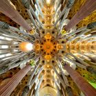 Ceiling - Sagrada Familia- Barcelona