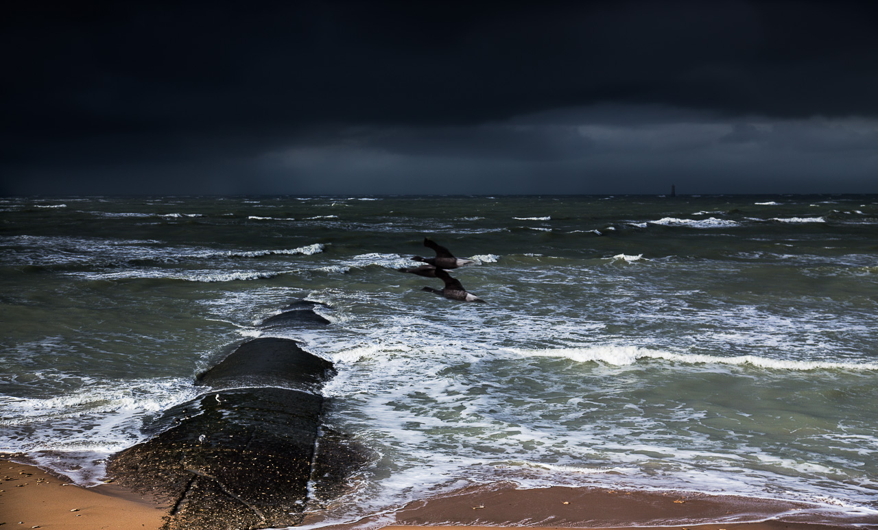 Cela souffle au phare de la baleine