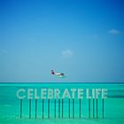 Celebrate Life