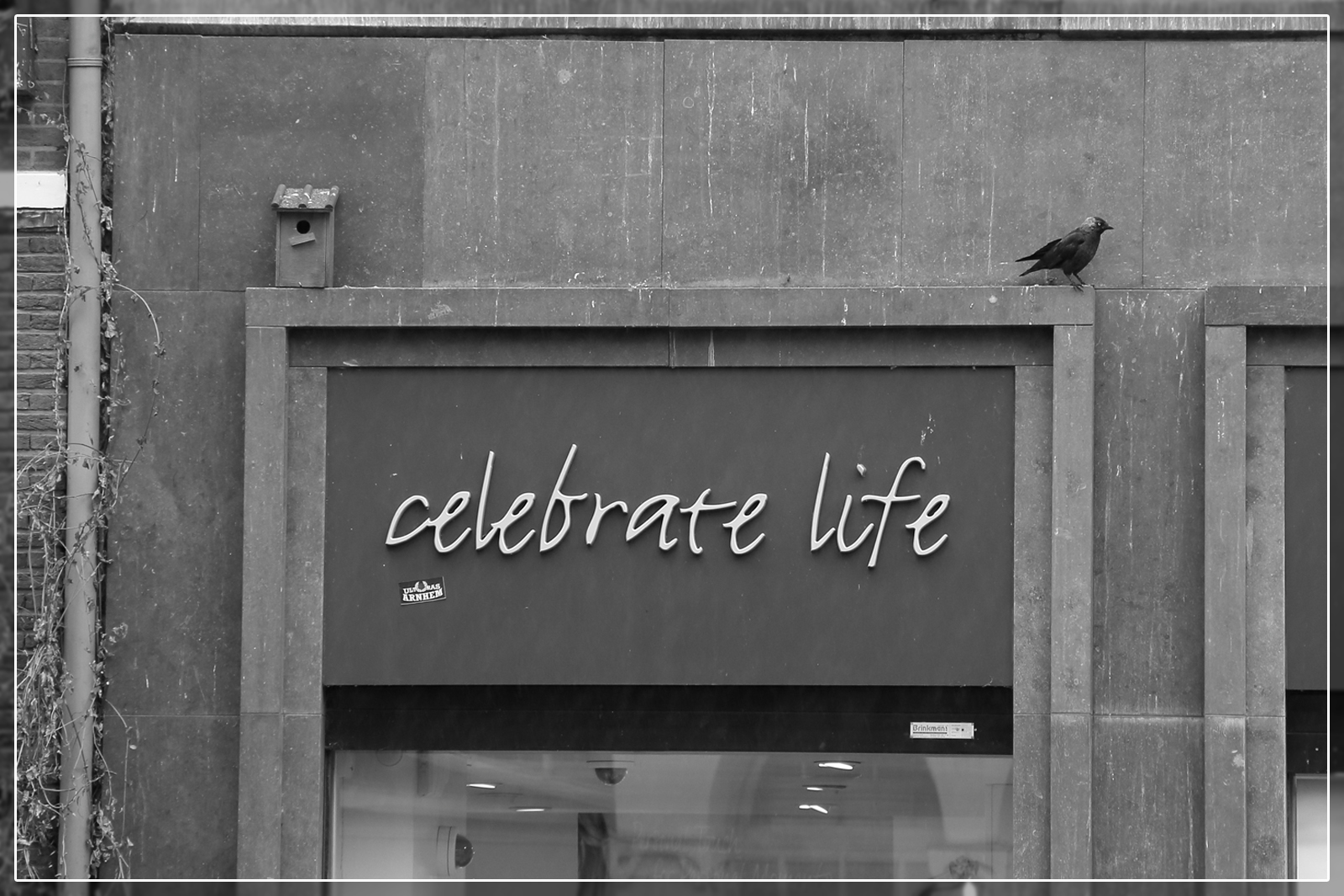 Celebrate Life