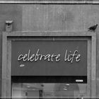 Celebrate Life